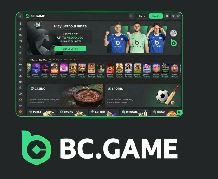 Understanding the BC.Game Login Process A Comprehensive Guide -243411541